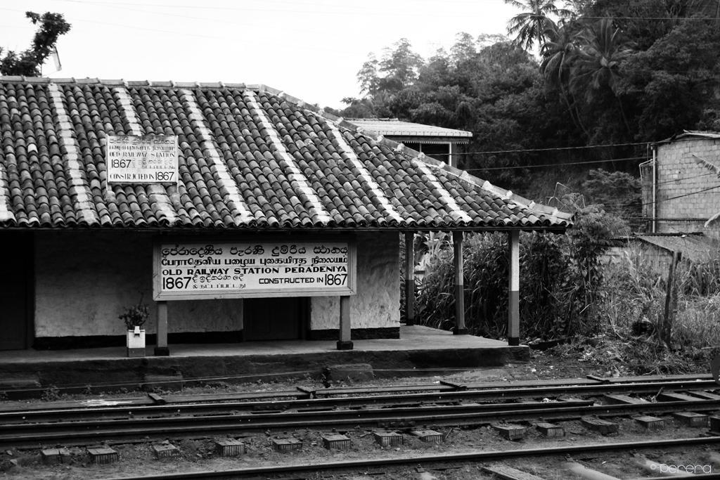 Summit View Bed and Breakfast Kandy Esterno foto