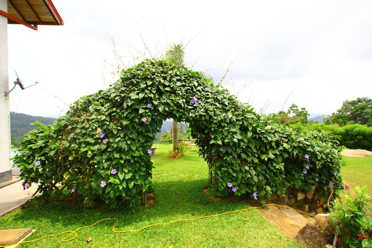 Summit View Bed and Breakfast Kandy Esterno foto