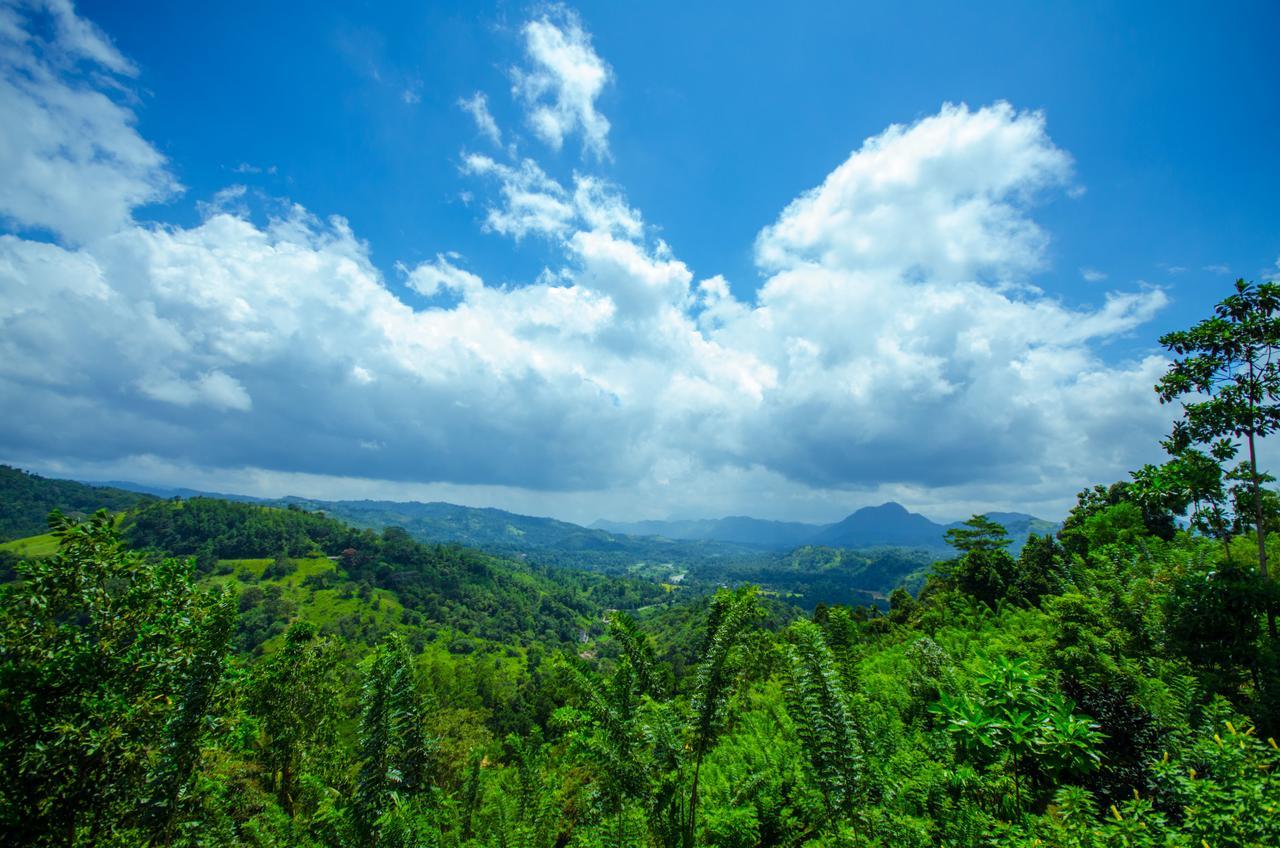 Summit View Bed and Breakfast Kandy Esterno foto